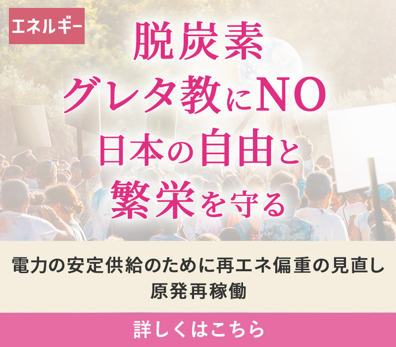 エネルギー 脱炭素グレタ教にNO 日本の自由と反映を守る 電力の安定供給のために再エネ偏重の見直し／原発再稼働